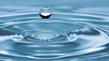 Permalink auf:Beratung in Personalfragen